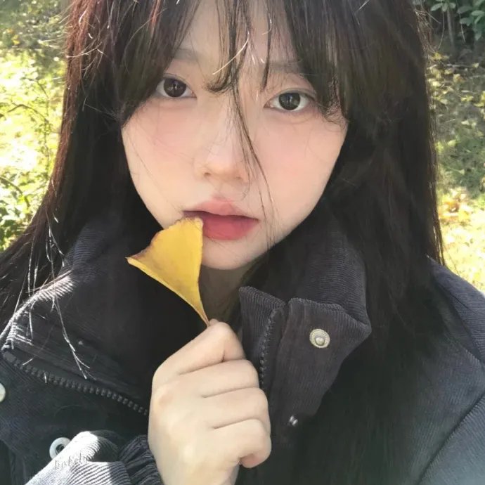 合伙吧少年